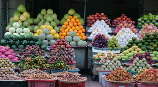 a fresh food market has a certain vibrancy