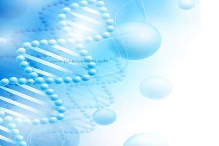 nes health, meta-medicine, meta-health and the meta-healing process