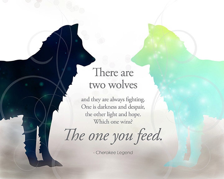 Two wolves facing each other, one black, one in turquoise. The quote asks which one do you feed, negative or positive thoughts?