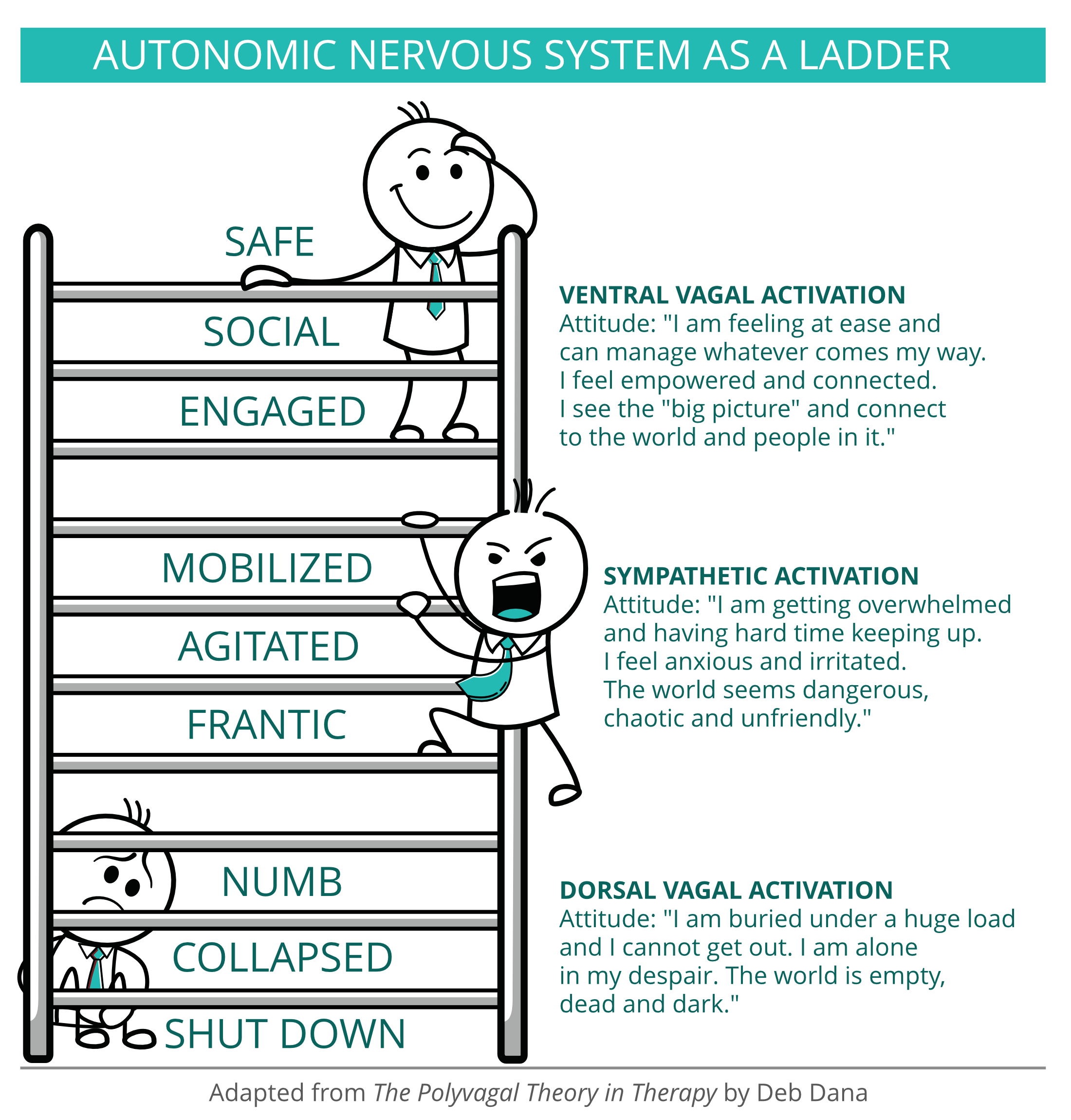 polyvagal ladder debs dana