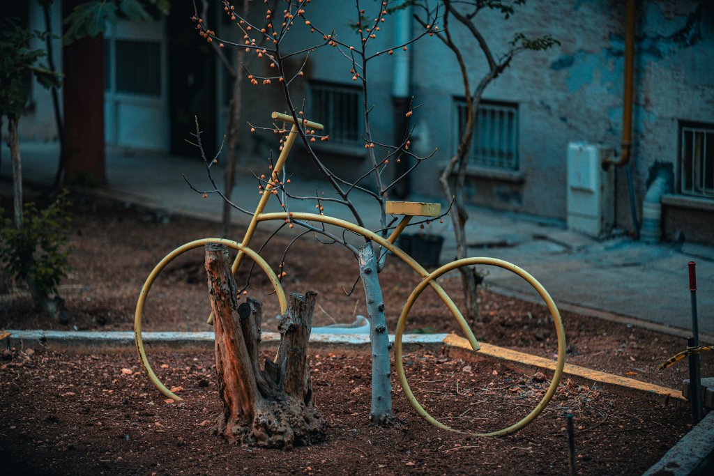 Stylised golden bicycle impractical but pretty, leaning again the stump of a slim silver birch tree, with a turquoise background and delicate golden lights on a tree behind the bike and silver birch.