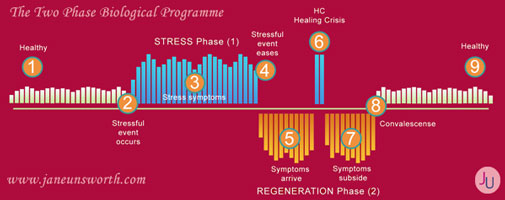 two phases of disease, weight loss, weight gain